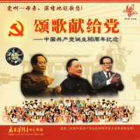 你是一面旗帜_毛宁
