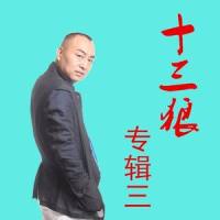 八大怪(文化)_十三狼