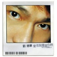 世界第一等_刘德华