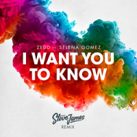 I Want You To Know_Steve James,Selena Gomez