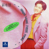 擦肩而过_苏有朋