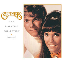 Sandy_Carpenters