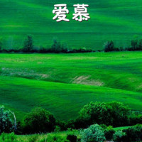 爱慕_洛天依