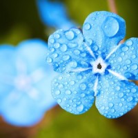 Soft Rain & Gentle Thunder_Sleepy Times,Best Relaxing Spa Music,Sonidos de la Naturaleza