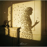 Sailing_Aimer