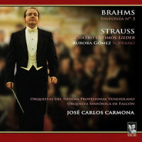 Allegro con brio_Orquesta Sinfónica De Falcón,Johannes Brahms