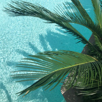 Deep Focus Meditation_Deep Sleep,Restaurant Music Academy,Meditation Awareness