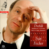 2. Allegro_Budapest Festival Orchestra,Antonín Dvořák,Iván Fischer