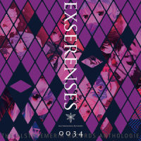 INFINITE BEING feat. nomico_Alstroemeria Records,nomico