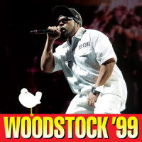 The N*gga You Love To Hate_Ice Cube