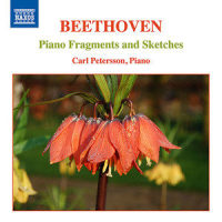 March in C Minor, Hess 330 (reconstructed by A.W. Holsbergen)_Carl Petersson