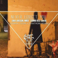 Never Forget You_Arman Cekin,Sonna Rele,SaintRow,Zara Larsson