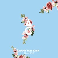Want You Back_Antoine Chambe,Omz