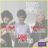 Brahms: Piano Trio in A-Minor, Op. 114: IV. Allegro_Melinda Vásárhelyi,Tibor Molnár,David Ernst Molnar