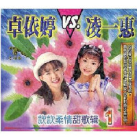 浪迹天涯_卓依婷