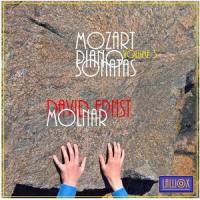 Piano Sonata No.13 in B Flat-Major, K333: III. Rondeau: Allegretto Grazioso_David Ernst Molnar