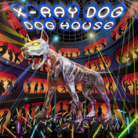 Dizzy For You (inst)_X-Ray Dog