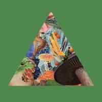 Poison the Well_Modest Mouse