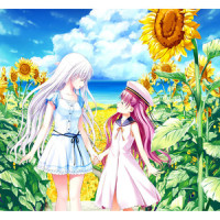 アルカテイル_折户伸治