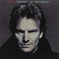 Mad About You_Sting
