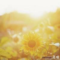 PRAY_GReeeeN