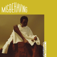 Misbehaving_Labrinth