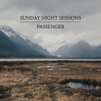 And It Stoned Me_Passenger
