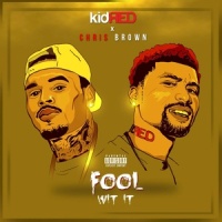 Fool Wit It (feat. Chris Brown)_Kid Red,Chris Brown