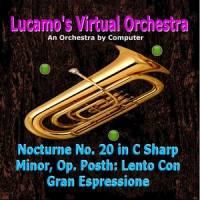 Nocturne No. 20 in C Sharp Minor, Op. Posth: Lento Con Gran Espressione_Luis Carlos Molina Acevedo,Frédéric Chopin