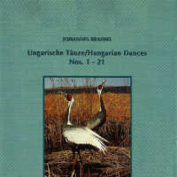 No. 8 in A Minor, WoO. 1 - I. Presto (A小调第8号,作品1 - 第一乐章 急板)_London Festival Orchestra