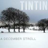 A December Stroll(feat. Sam Fischer)_Tintin,Sam Fischer