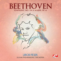 III. Tempo di menuetto (第三乐章 小步舞曲的速度)_Moscow RTV Symphony Orchestra,Taki Niyazy