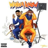 Wanna Know Remix (feat. Drake)_Dave,Drake