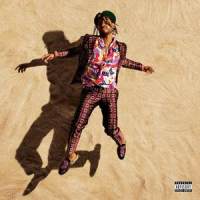 Pineapple Skies_Miguel