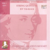 Wolfgang Amadeus Mozart: String Quintet in G minor, K. 516 - IV. Adagio_Wolfgang Amadeus Mozart