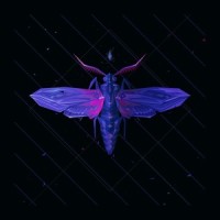 Lying & Loving_Electric Mantis,Mothica
