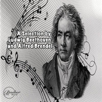 Beethoven-Piano Concerto #5 In E Flat, Op. 73, Emperor - 2. Adagio Un Poco Mosso_Ludwig van Beethoven