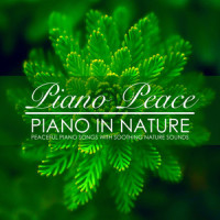 Streaming Water Piano_Piano Peace