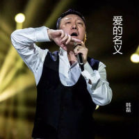 爱的名义_韩磊