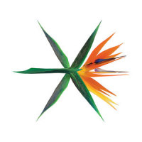 너의 손짓 (Touch It)_EXO