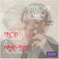 Sonata No. 5 in D-Major, Op. 102 No. 2: I. Allegro Con Brio_David Ernst Molnar,Tibor Molnár