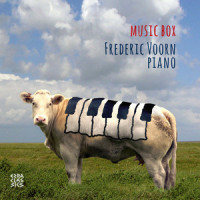 Allegretto D. 915_Frederic Voorn