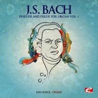 Prelude and Fugue in E Minor, BWV 533 (E小调前奏曲与赋格,作品533)_Ivan Sokol,Johann Sebastian Bach