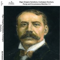 Variations on an Original Theme "Enigma", Op. 36: Theme. Andante_Royal Albert Hall Orchestra,Edward Elgar