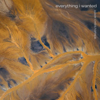 everything i wanted_Adam Christopher