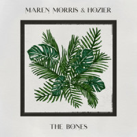 The Bones_Maren Morris,Hozier
