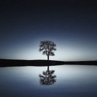 A Time for Relaxation_Relaxing Meditation Songs Divine,White Noise For Baby Sleep,Sleepy Times