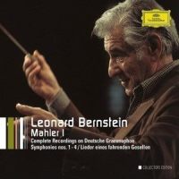 Lieder eines fahrenden gesellen: I. "Wenn mein schatz hochzeit macht"_Gustav Mahler
