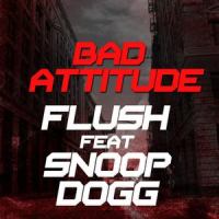 Bad Attitude (feat. Snoop Dogg)_Flush,Snoop Dogg