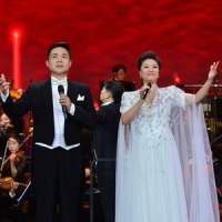 为祖国放歌_王丽达,王传越